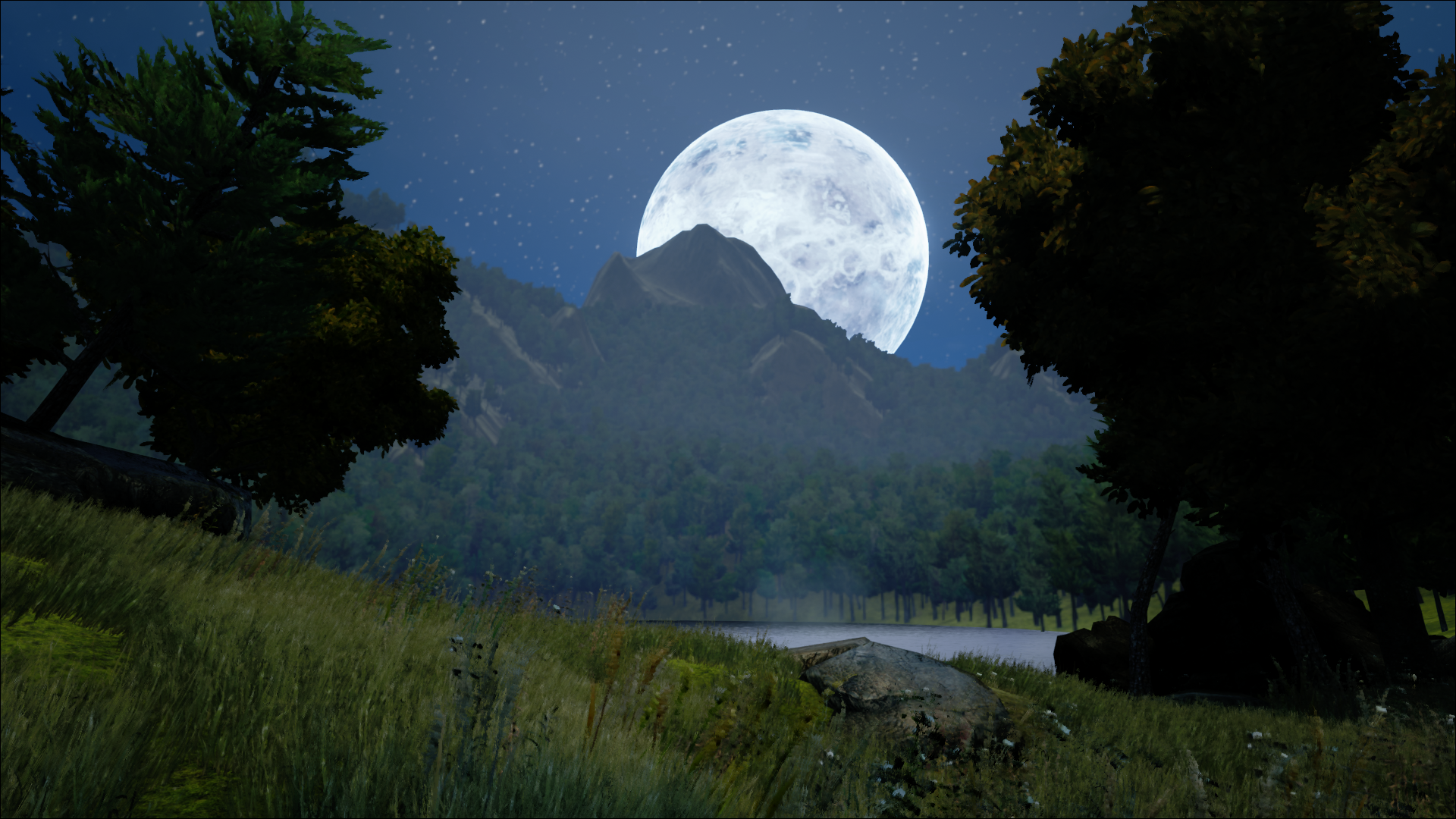 The Tale of Three - Forest river scene